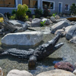 bronze allegator bathing in stream